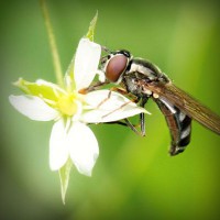 /album/facetube/photolia-a02-jpg/