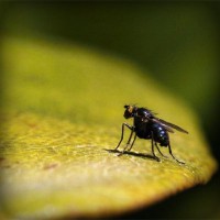 /album/facetube/photolia-a07-jpg/