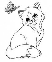 /album/facetube/imagesca4hjj2m-jpg/